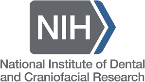 National Institute of Dental and Craniofacial Research